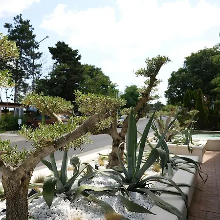 Paradise Bay Szálloda 3*